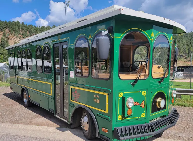 2017 Ford Trolley photo 3